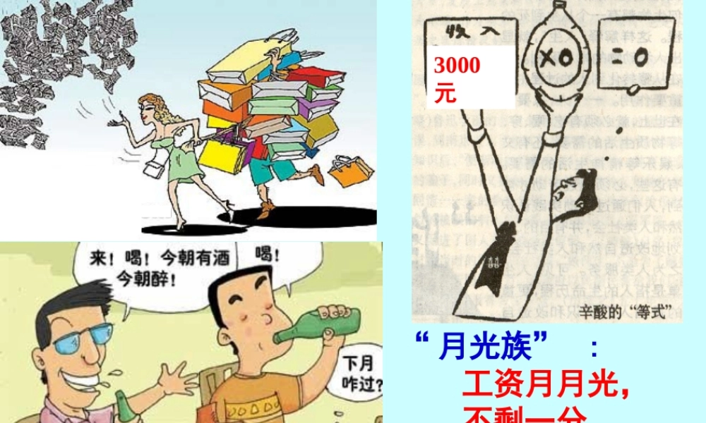 九年级政治学会合理消费课件示例二 新课标 人教版 课件