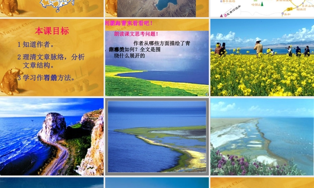 八年级语文上册 第3课(青海湖，梦幻般的湖)课件(2)语文版 课件