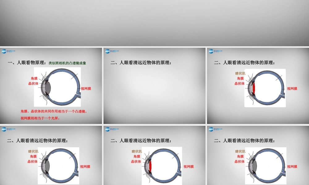 八年级物理上册 5.4 眼睛和眼镜课件4 (新版)新人教版 课件