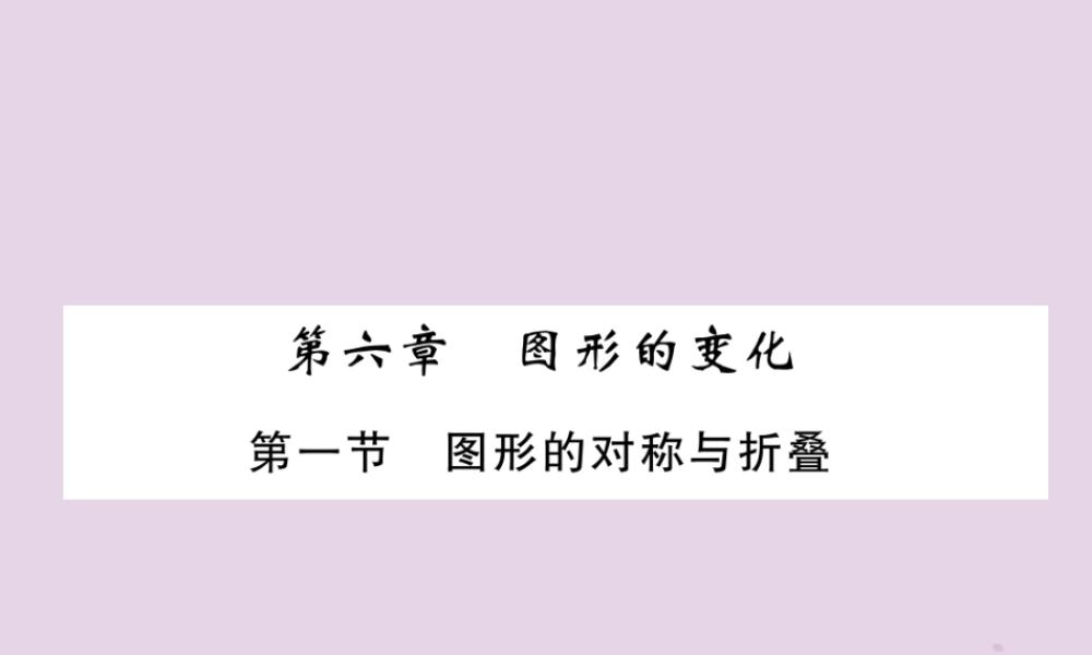 中考数学总复习 第一部分 教材知识梳理 第6章 图形的变化 第1节 图形的对称与折叠(精讲)课件