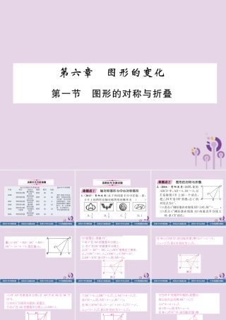 中考数学总复习 第一部分 教材知识梳理 第6章 图形的变化 第1节 图形的对称与折叠(精讲)课件
