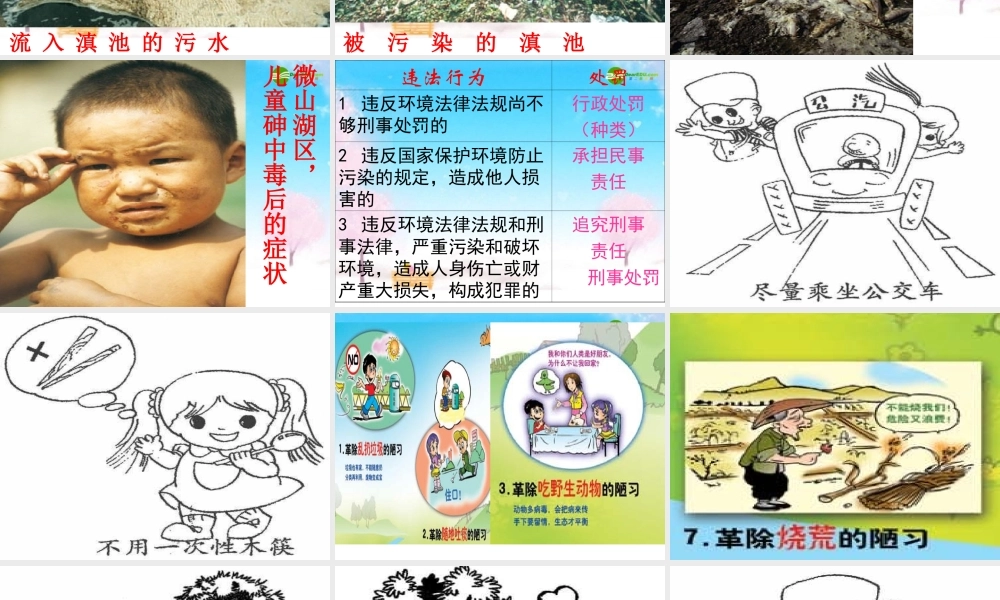 八年级政治下册 依法保护我们的家园课件 苏教版 课件