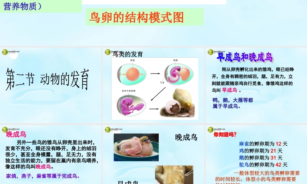 八年级生物上册(19.2 动物的发育)课件 苏科版 课件