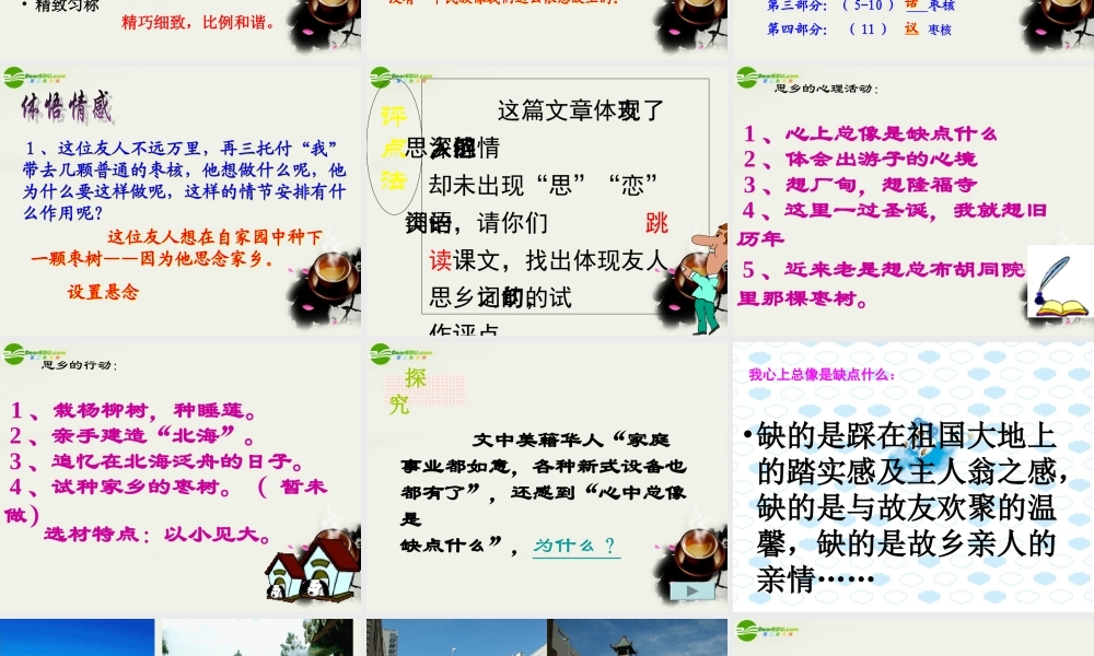 八年级语文上册(枣核)课件1 苏教版 课件