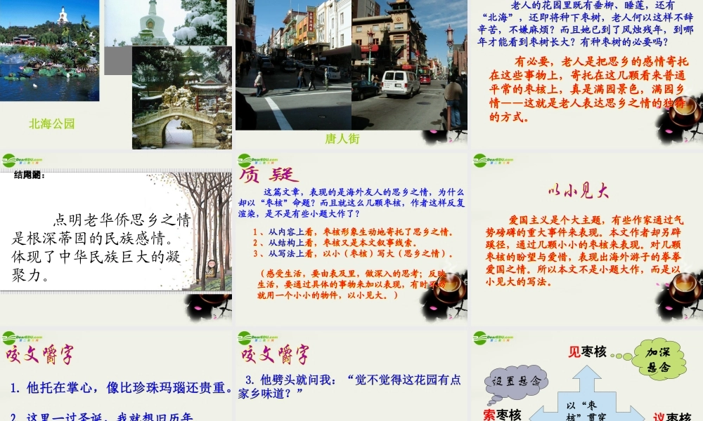 八年级语文上册(枣核)课件1 苏教版 课件