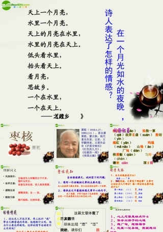八年级语文上册(枣核)课件1 苏教版 课件
