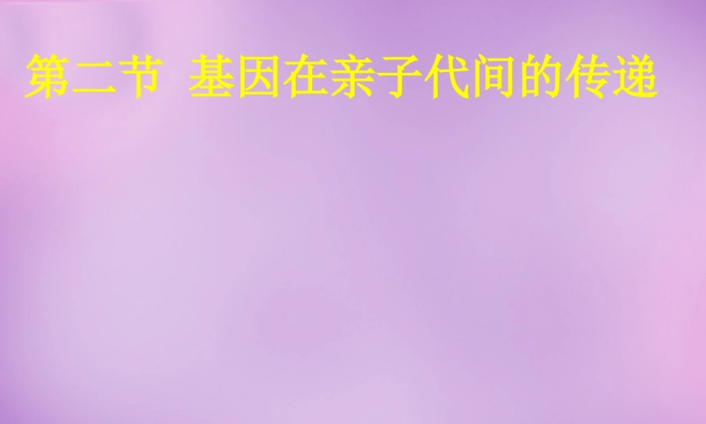 八年级生物下册 第七单元 第二章 第二节 基因在亲子代间的传递课件 新人教版 课件