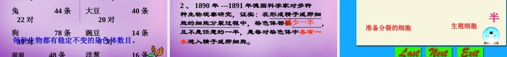 八年级生物下册 第七单元 第二章 第二节 基因在亲子代间的传递课件 新人教版 课件