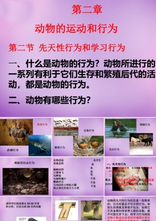八年级生物上册 5.2.2 先天性行为和学习行为课件 (新版)新人教版 课件
