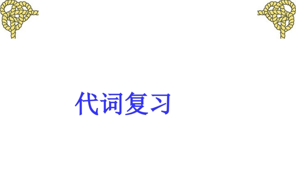 代词复习 新课标 人教版 课件