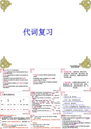 代词复习 新课标 人教版 课件