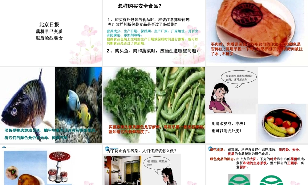中学七年级生物下册 第二章 第三节 关注合理营养与食品安全课件 (新版)新人教版 课件