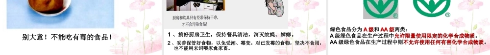 中学七年级生物下册 第二章 第三节 关注合理营养与食品安全课件 (新版)新人教版 课件