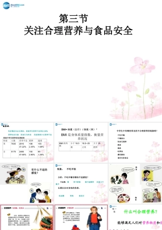 中学七年级生物下册 第二章 第三节 关注合理营养与食品安全课件 (新版)新人教版 课件