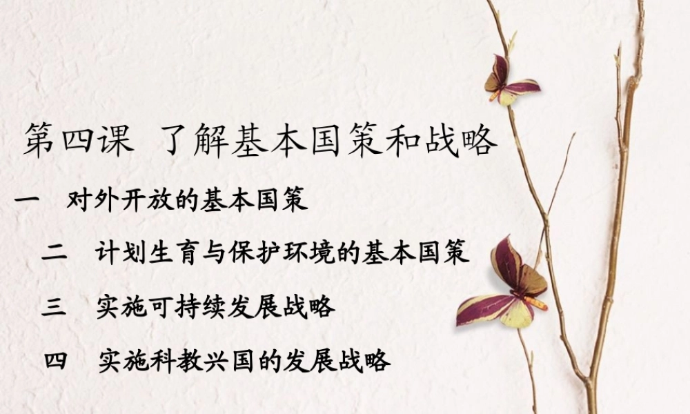 中考政治了解基本国策和战略复习课件