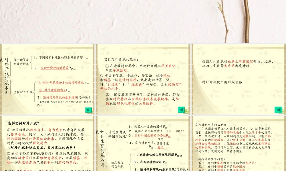 中考政治了解基本国策和战略复习课件