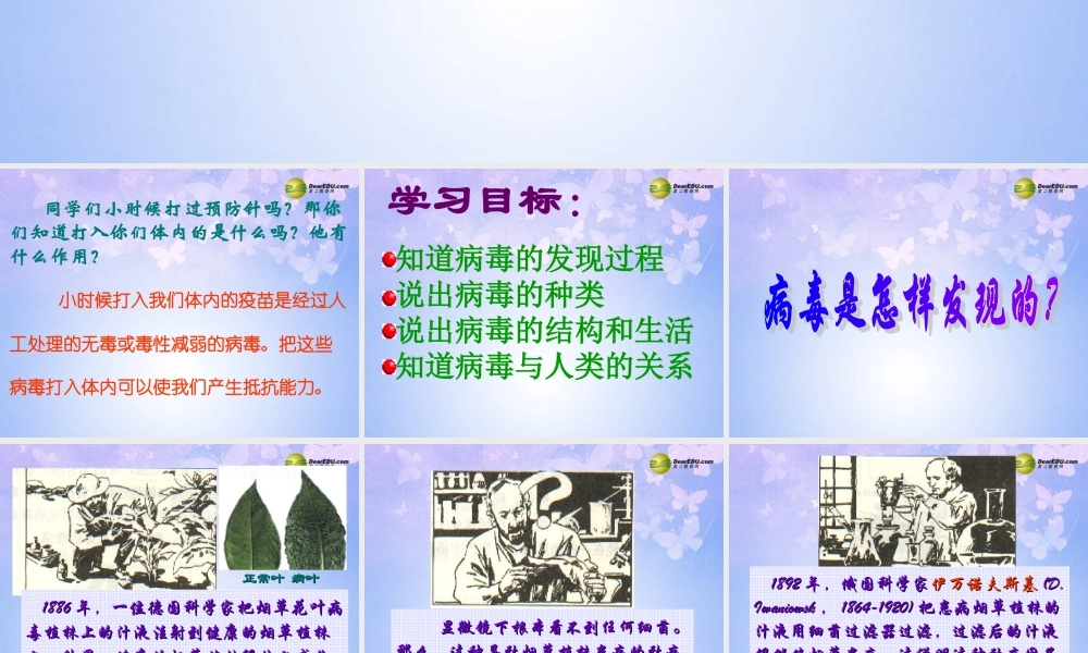 八年级生物上册 第五单元 病毒课件 新人教版 课件