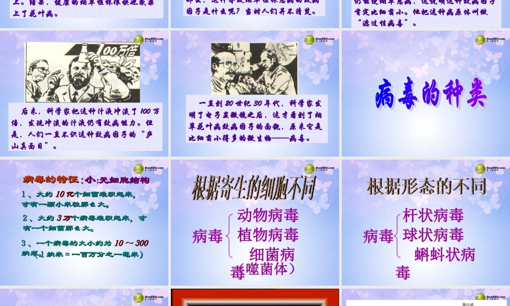 八年级生物上册 第五单元 病毒课件 新人教版 课件