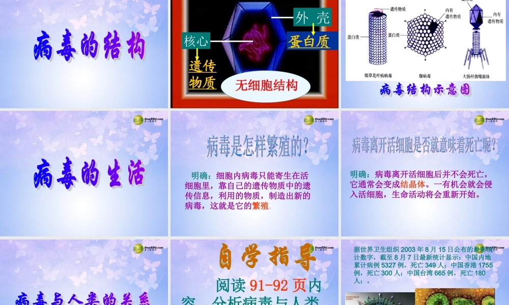 八年级生物上册 第五单元 病毒课件 新人教版 课件