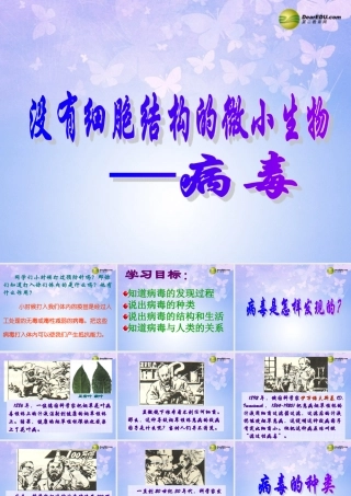 八年级生物上册 第五单元 病毒课件 新人教版 课件