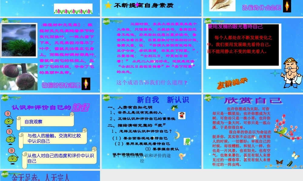 七年级语文上册 第二单元第3课(不一样的环境 不一样的 我 )课件 鲁教版 课件