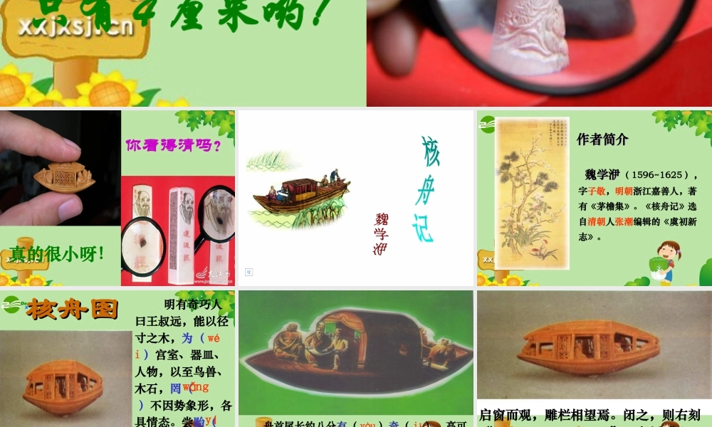 八年级语文上册 (核舟记)课件 人教新课标版 课件