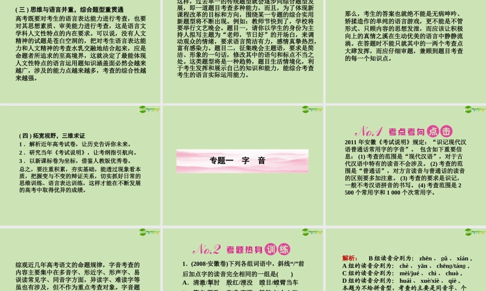 安徽省高三语文一轮复习 第二编 第一部分 专题一 字音课件