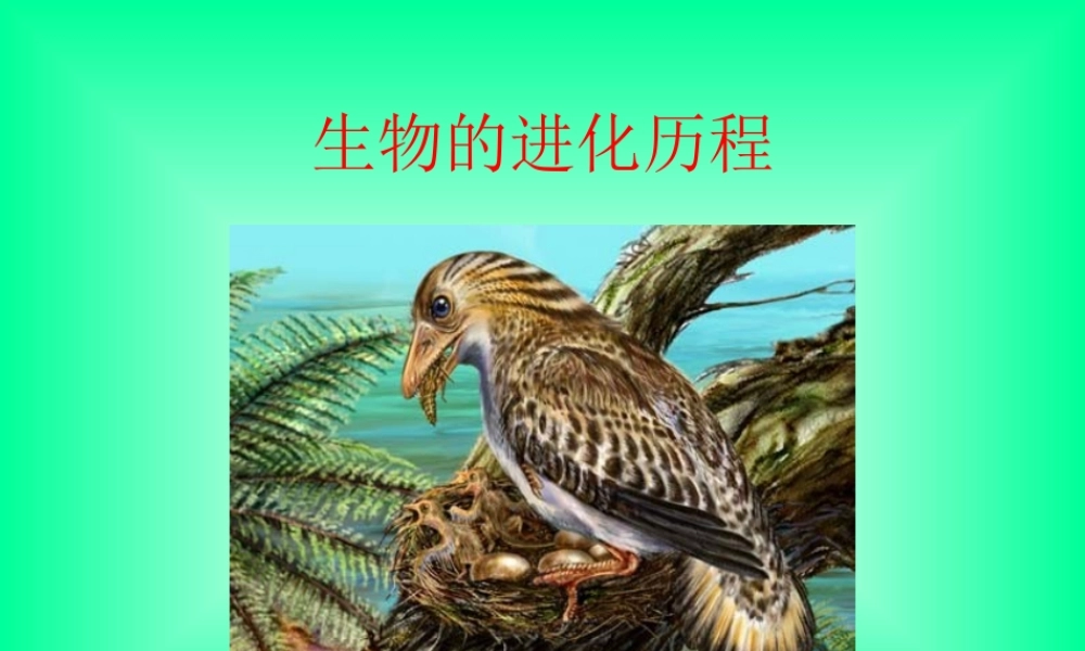 八年级生物新人教版生物进化的历程ppt 课件