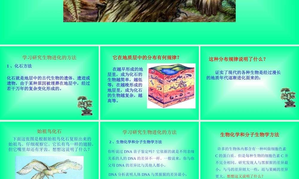 八年级生物新人教版生物进化的历程ppt 课件