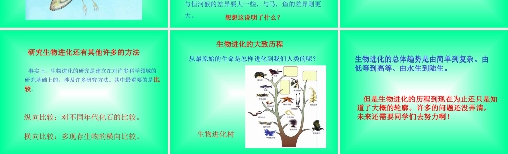 八年级生物新人教版生物进化的历程ppt 课件