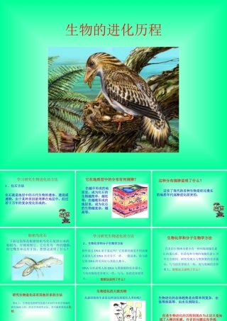 八年级生物新人教版生物进化的历程ppt 课件