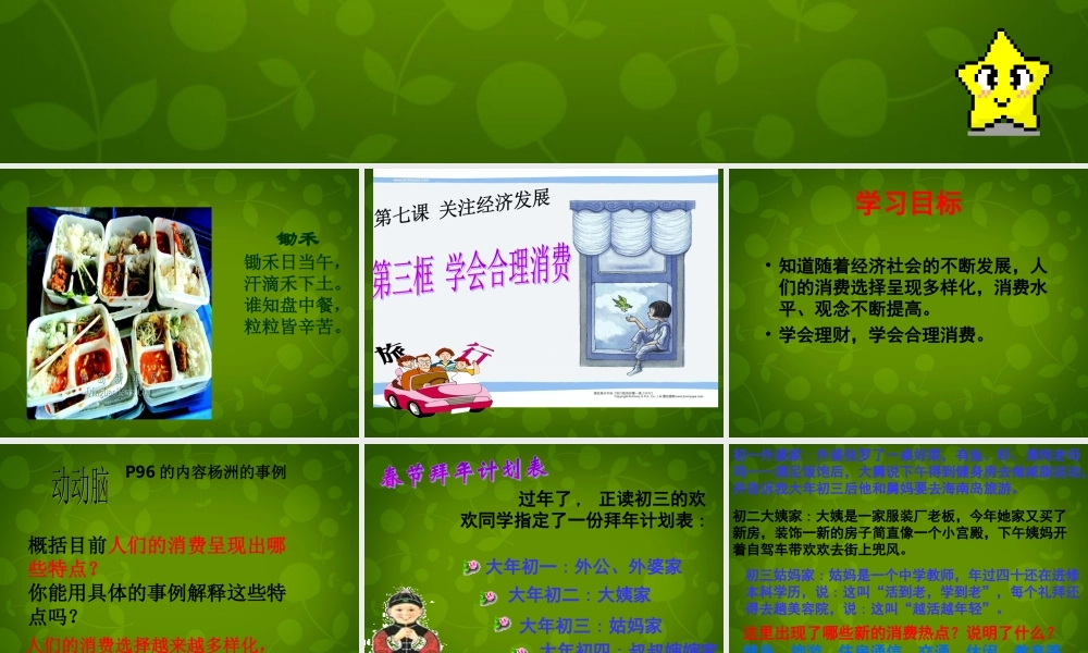 九年级政治全册(73 学会合理消费)课件 新人教版 课件