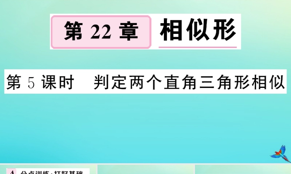 九年级数学上册 第22章 相似形 222 相似三角形的判定 第5课时 判定两个直角三角形相似作业课件 (新版)沪科版 课件