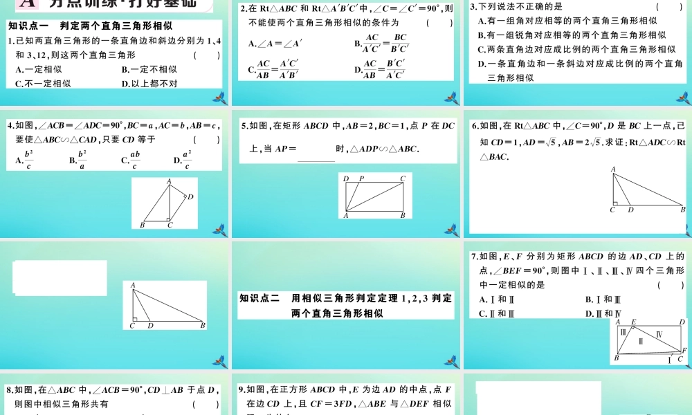 九年级数学上册 第22章 相似形 222 相似三角形的判定 第5课时 判定两个直角三角形相似作业课件 (新版)沪科版 课件