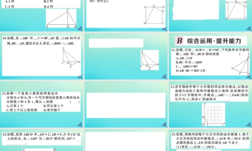 九年级数学上册 第22章 相似形 222 相似三角形的判定 第5课时 判定两个直角三角形相似作业课件 (新版)沪科版 课件