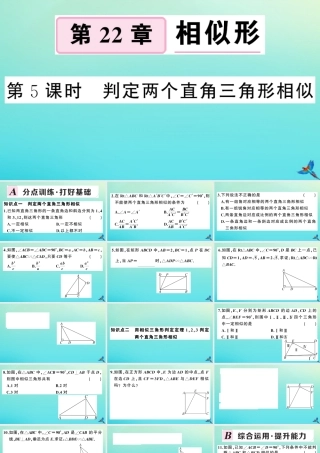 九年级数学上册 第22章 相似形 222 相似三角形的判定 第5课时 判定两个直角三角形相似作业课件 (新版)沪科版 课件