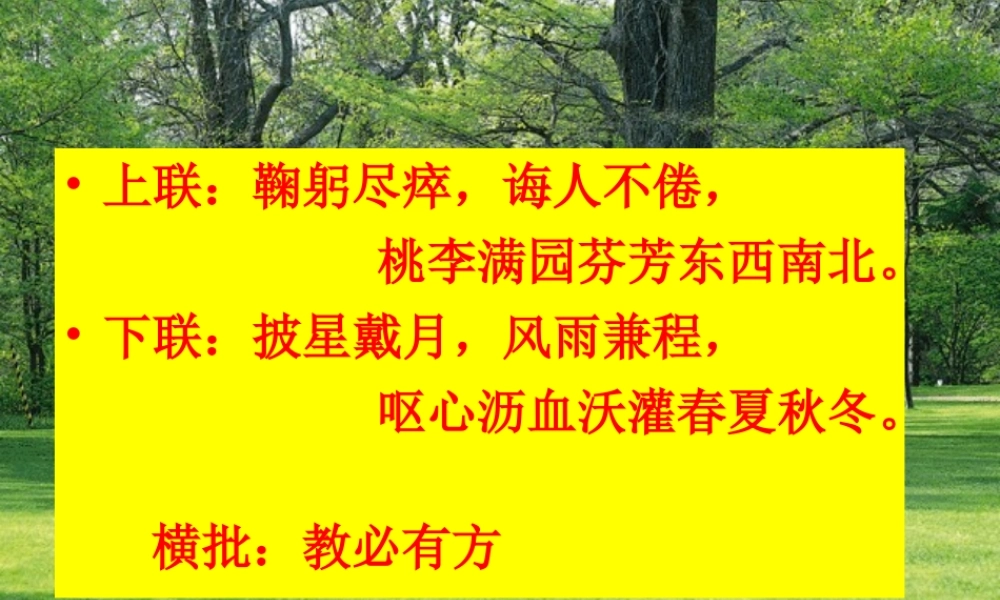 初中语文讲座课件