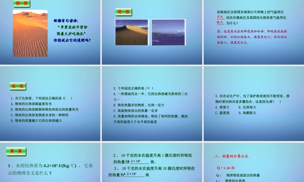 九年级物理全册 133 比热容课件 (新版)新人教版 课件