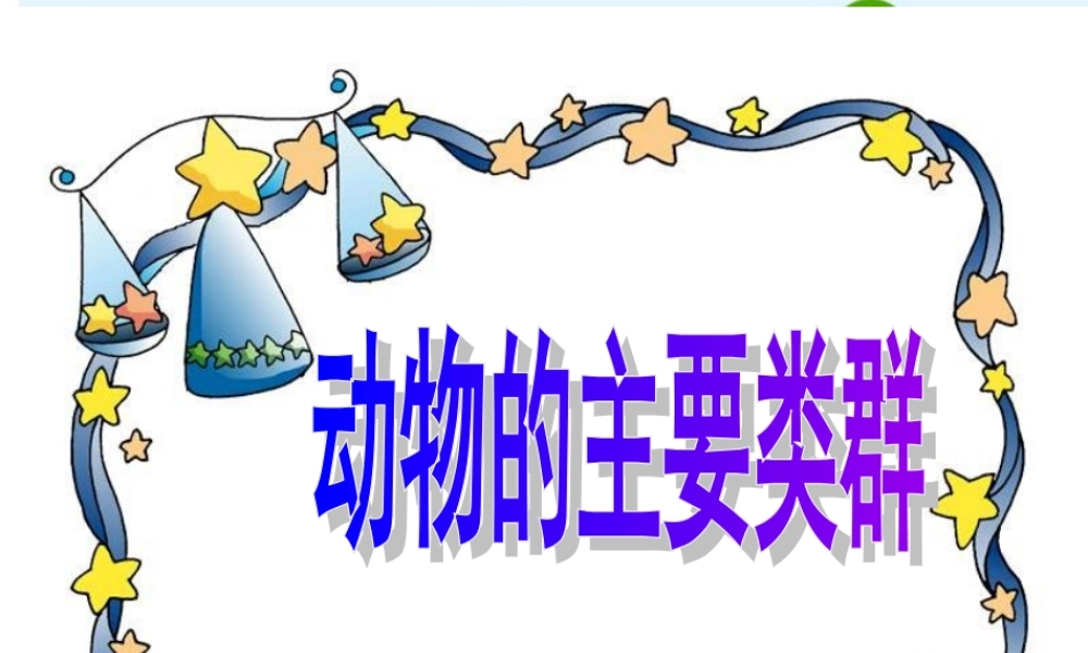 七年级生物上册 动物的主要类群课件 济南版 课件