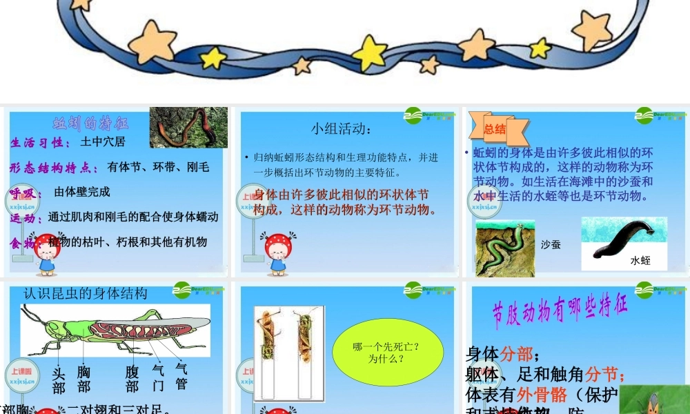 七年级生物上册 动物的主要类群课件 济南版 课件