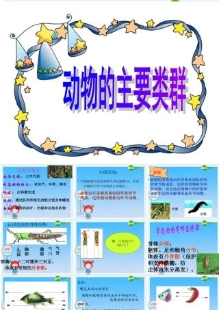 七年级生物上册 动物的主要类群课件 济南版 课件