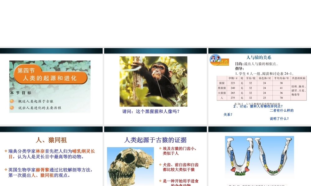 八年级生物下册 24.4人类的起源和进化课件 苏教版 课件