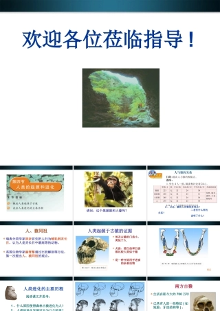 八年级生物下册 24.4人类的起源和进化课件 苏教版 课件