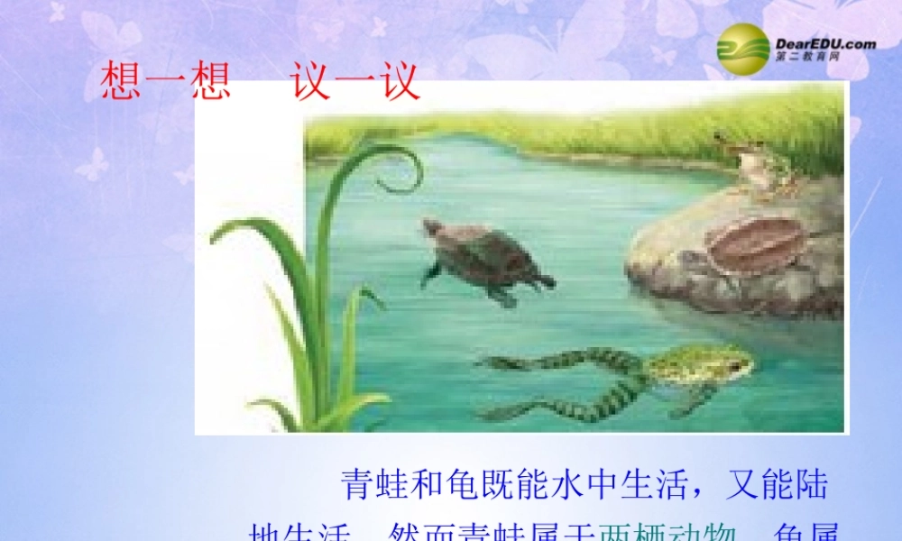 八年级生物上册 两栖动物和爬行动物课件 (新版)新人教版 课件