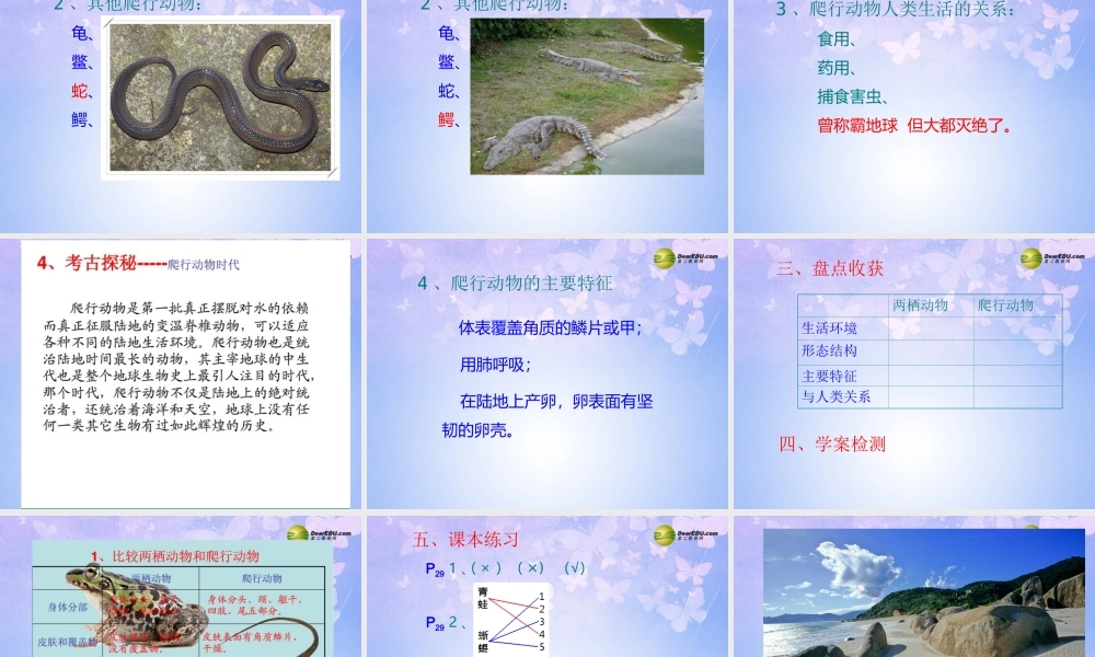八年级生物上册 两栖动物和爬行动物课件 (新版)新人教版 课件