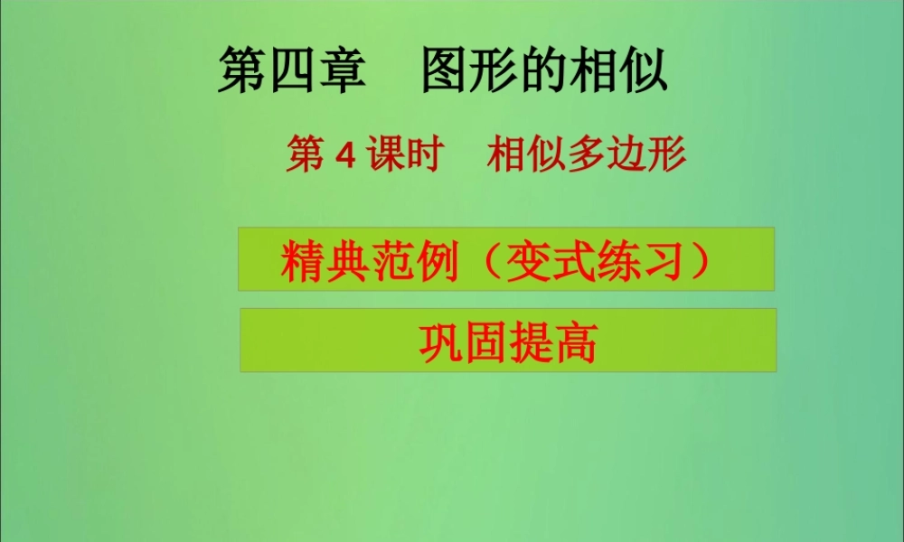 九年级数学上册 第4章 图形的相似 第4课时 相似多边形(课堂导练)习题课件 (新版)北师大版 课件