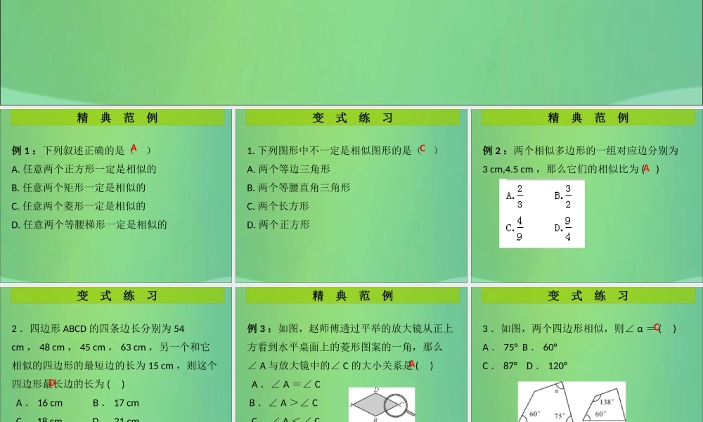 九年级数学上册 第4章 图形的相似 第4课时 相似多边形(课堂导练)习题课件 (新版)北师大版 课件