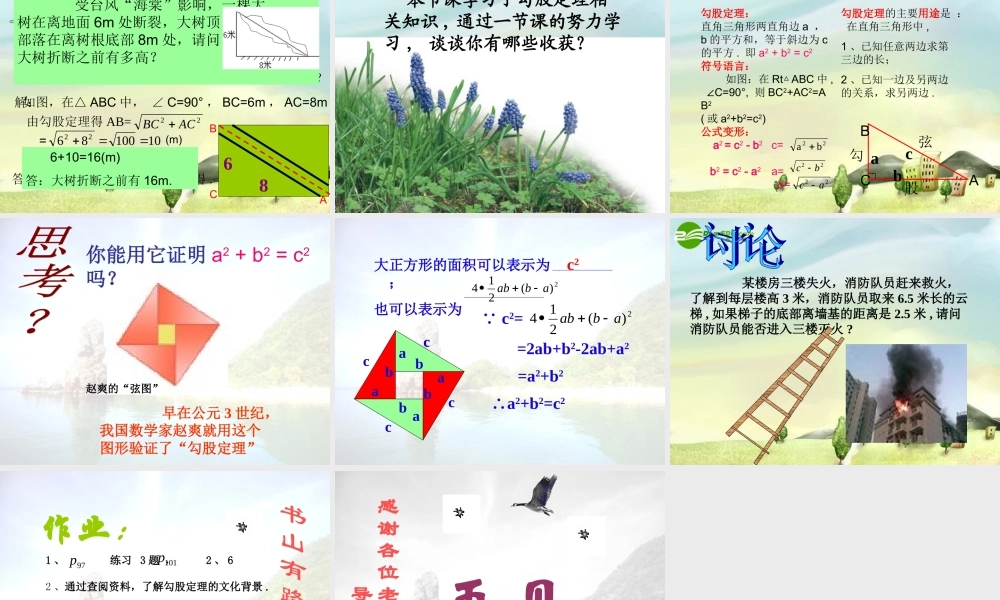 八年级数学上册 勾股定理课件 北师大版 课件