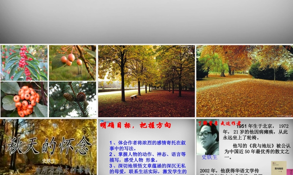 中学七年级语文上册 第2课(秋天的怀念)课件 (新版)新人教版 课件