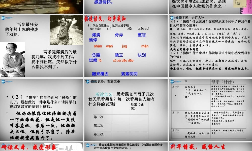 中学七年级语文上册 第2课(秋天的怀念)课件 (新版)新人教版 课件